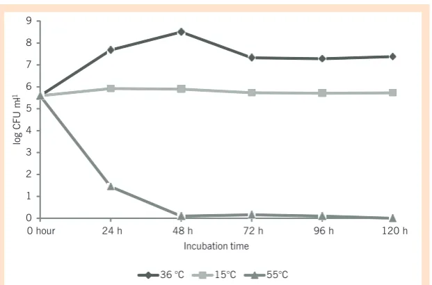 Figure 1.  Growth curve of the bacterium 