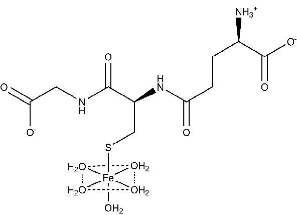 Figure 1.2. Proposed structure of the glutathione-coordinating complex with Fe(II) found in the labile iron pool