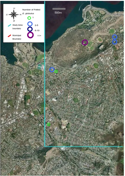 Figure 5-2. Felled E. globulus from the Hobart CBD to Hobart City Council's northern 