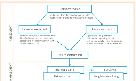 Figure 1: Risk assessment approach