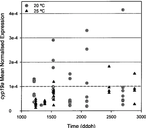 Figure 4.2 Expression of cypl9a in individual larva greater than 20 mm total length at two temperatures (1