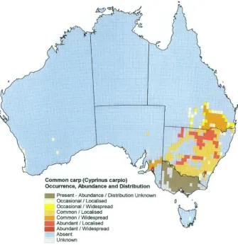 Figure 1.1 Common carp (Cyprinus carpio) occurrence, abundance and  distribution  in Australia 
