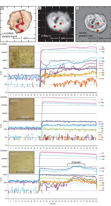 Figure 3.15 LA-ICPMS analyses of three spots in limestone sample 6. Corresponding textures shown as insets on the graphs