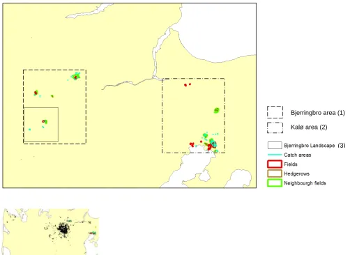 Figure 4. Digitized features in the 2 study areas in Mid Jutland. The Kalø/Tøjstrup area (2) is si-tuated to the east, whereas the Bjerringbro and Fussingø study sites are situated to the west (1)