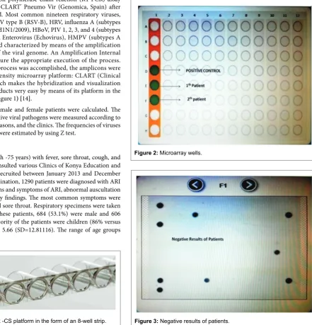Figure 2: Microarray wells.