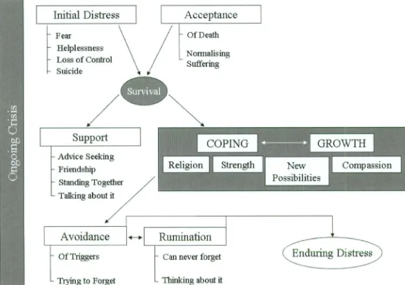 Figure 8. A model of the experience of life crises from the perspective of the Sudanese-Australian sample