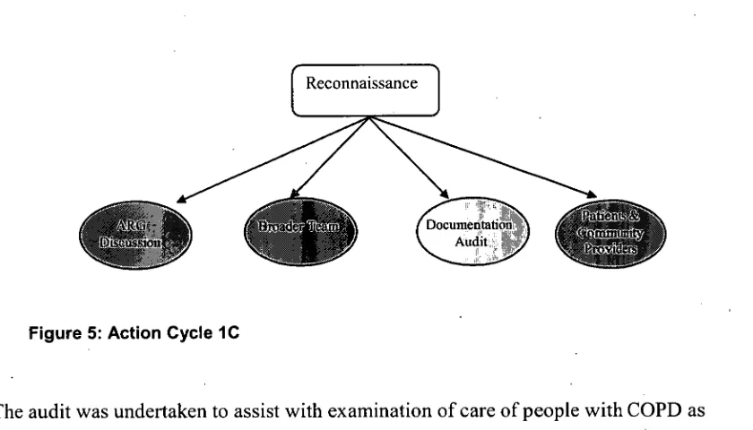 Figure 5: Action Cycle 1C 