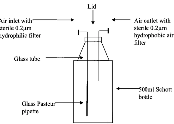 Figure 3.1: Experimental Schott bottle vessel set-up used for survival assessment Experiments