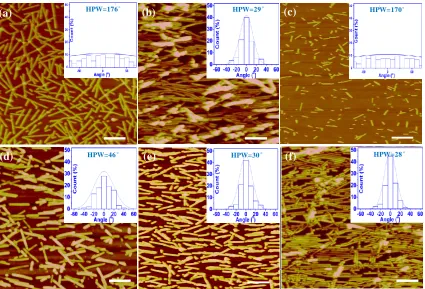 Figure 1.3. Charge-charge interaction affects flow assembly. AFM images of (a) Control 1; (b) Control 2 (Control 3 gave similar results); (c) Control 4-6; (d) Control 7; (e) Control 8; and (f) The typical sample after immersed into PBS for overnight at 37 