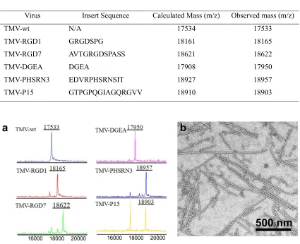 Table 2.1. List of isolated TMV mutants  