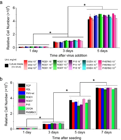 Figure 2.2. Biocompatibility of TMV materials. Cell viability and proliferation with TMV exposure