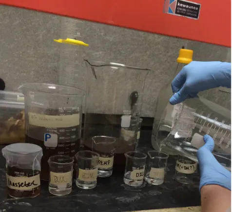 Figure 3.6 Sulfuric acid (10%) solution is being added to the beaker of containing an individual masticatory muscle
