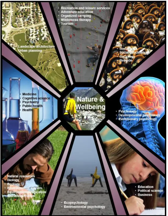 Figure 1. Disciplines researching connections between health, development, wellbeing, and nature 