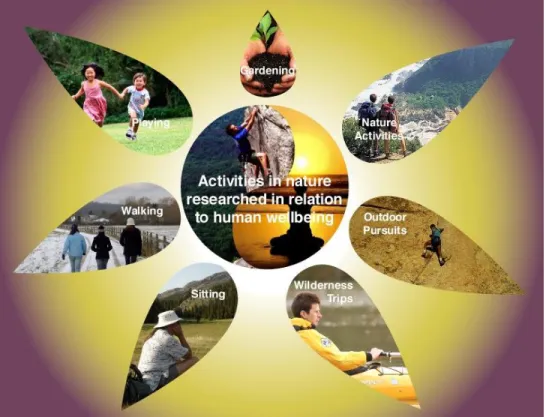 Figure 2. Activities in nature researched in relation to human wellbeing. 