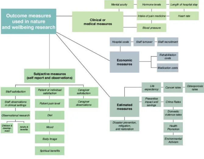 Figure 4. Outcome measures used in nature and wellbeing research. 