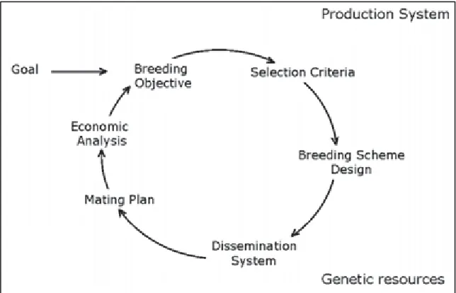 Figure 2.1. A systematic approach to design breeding programs (Lopez-Villalobos and 