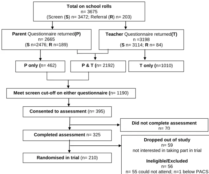 Figure 2.1: Participant Flow Chart 