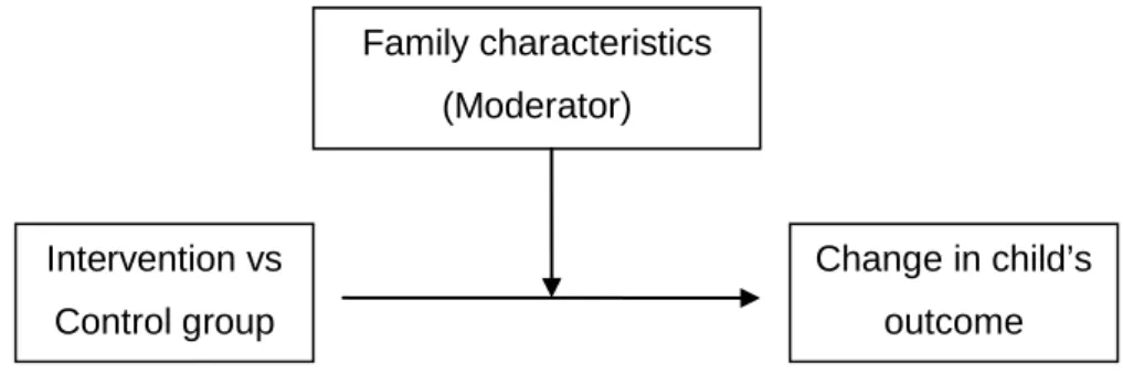 Figure 2.1. Moderation model  
