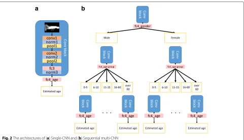 Fig. 2 The architectures of (a) Single-CNN and (b) Sequential multi-CNN