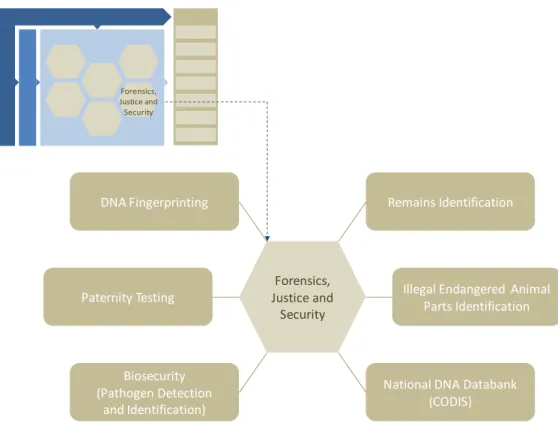 Figure 10: Functional Impact Areas of Genomics in Forensics, Justice and Security      One of the characteristics of DNA is that it varies from person to person. Thus analysis of DNA can be  used to specifically link a DNA sample to a specific person –usef