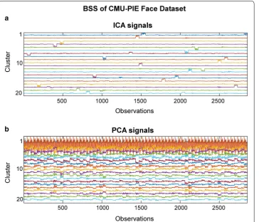 Fig. 3 CMU-PIE ICA blind source separation. The first 20 signals are shown from a total of 68, which is the total number of possible clusters