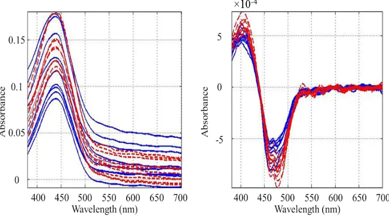 Figure 2.5 Raw (left) and first derivative (right) UV-Vis absorbance spectra for two yellow acrylic samples (10 replicate spectra for each sample)