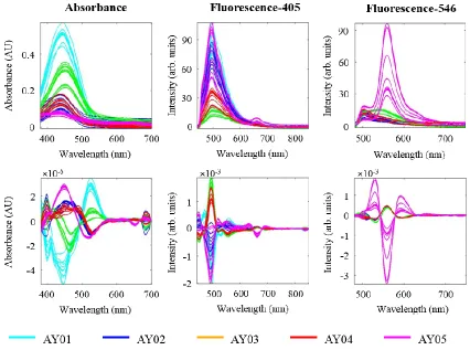 Figure 2.9 Visible absorbance and fluorescence (405 and 546 nm excitations) spectra of five yellow acrylic fibers before (top) and after (bottom) second derivative preprocessing followed by mean centering