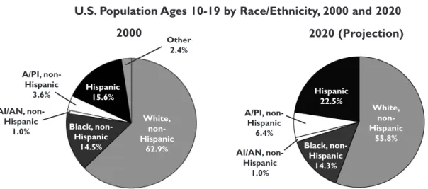Figure 2 2000 White,  non-Hispanic 62.9% Other2.4%Black, non-Hispanic14.5%AI/AN, non-Hispanic1.0%A/PI, non-Hispanic3.6%Hispanic15.6% 2020 (Projection)White,non-Hispanic55.8%Black,  non-Hispanic 14.3%AI/AN, non-Hispanic 1.0% A/PI, non-Hispanic6.4% Hispanic2