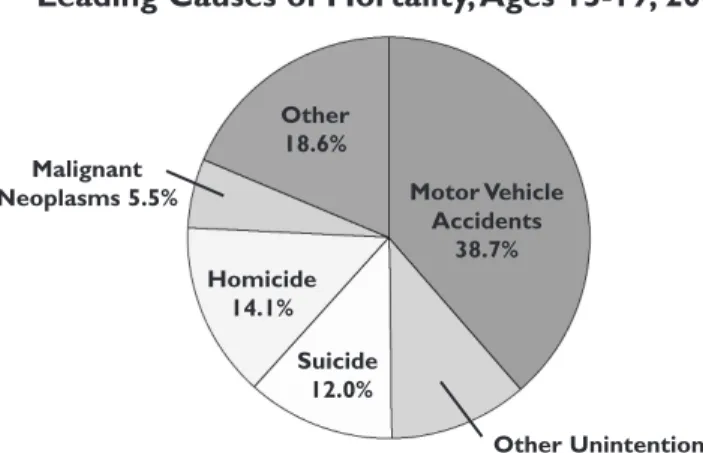 Figure 8 also shows significant differences in mortality rates by race/ethnicity. As we describe in the following pages, these disparities are primarily due to higher homicide rates among non-Hispanic Black and Hispanic youth, and higher suicide and motor 