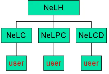 Fig. 3. NeLH Star Topology 