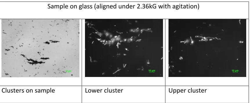 Figure 3.3 Fibers in interdigital electrodes 