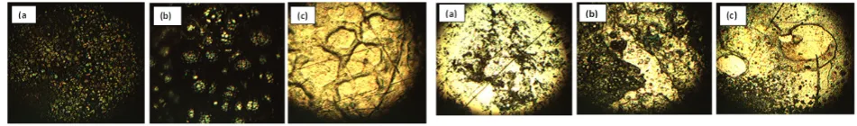 Figure 7. Surface morphology of silicon wafer
