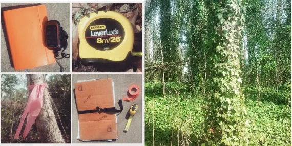 Figure 2.3. Surveying the AOI. A) Field Work Materials. Clockwise from the top left: notebook for recording field info
