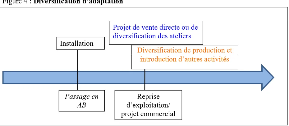 Figure 4 : Diversification d’adaptation 