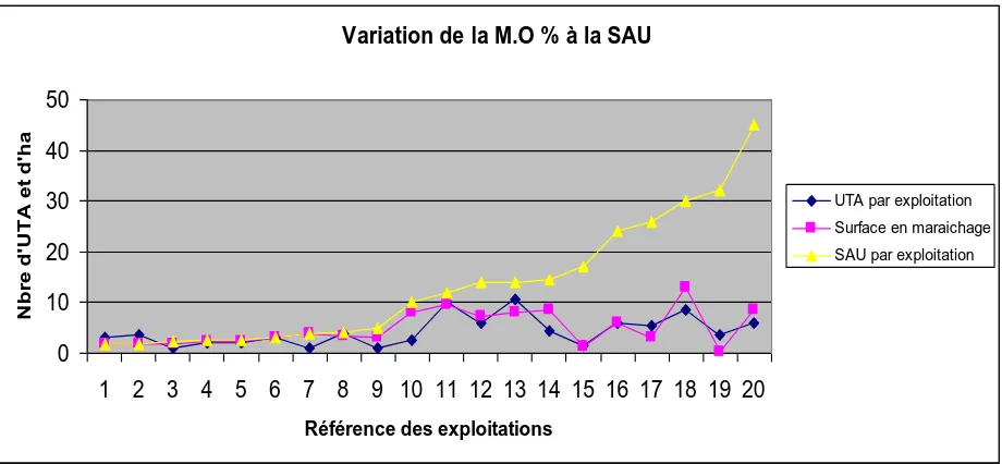 Figure 10 : Variation de la main d’œuvre par rapport à la SAU 