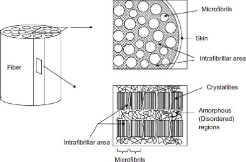 Figure 2.9 Supra-morphological model for two-step, melt-spun PLA [74]. 