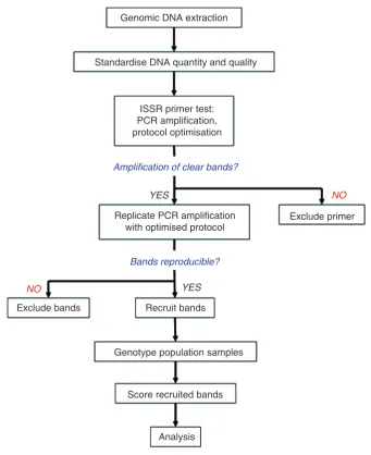 Figure 2. Recommended process flow chart for ISSR genotyping experiments