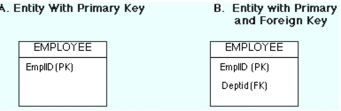 Figure 2: Entities with Key Attributes