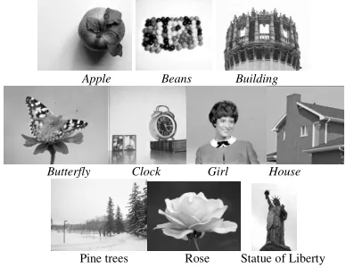 Figure 1.   The test images with simple structure 