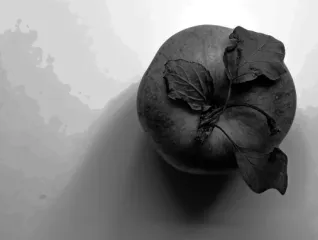 Figure 4.   Output image of GHE,  apple 