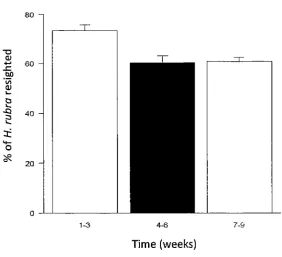 Figure 4. Haliotis rubra. Effect of interspecific competlt10n on the percentage of tagged abalone resighted through time (weeks), at Magistrate's Point, Maria Island