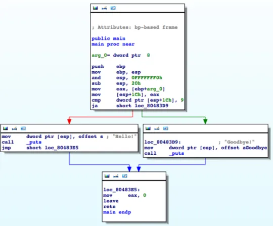 Figure 4.5: A Simple C Program with Branching (Taken from IDA Pro)