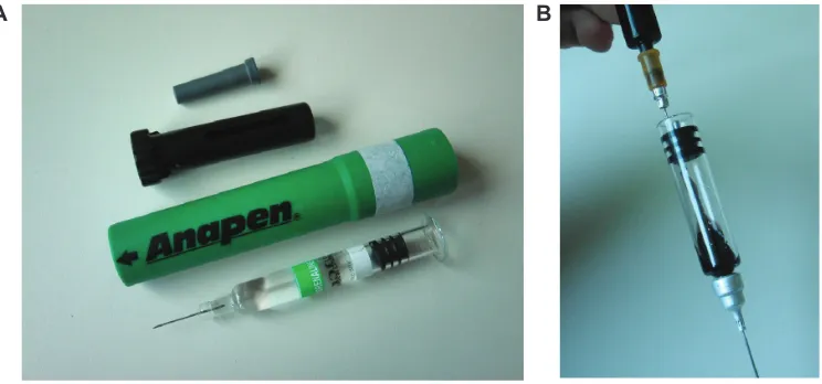 Figure 3 Preparation for gelatin distribution experiments. Prior to injection into gelatin, each device was disassembled (A) and the original adrenaline solution completely removed and replaced with ink (B).