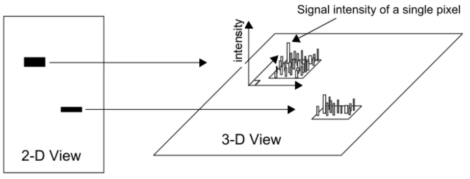 Fig. 1-1.  Representation of the pixels in two digitally imaged bands in a gel.