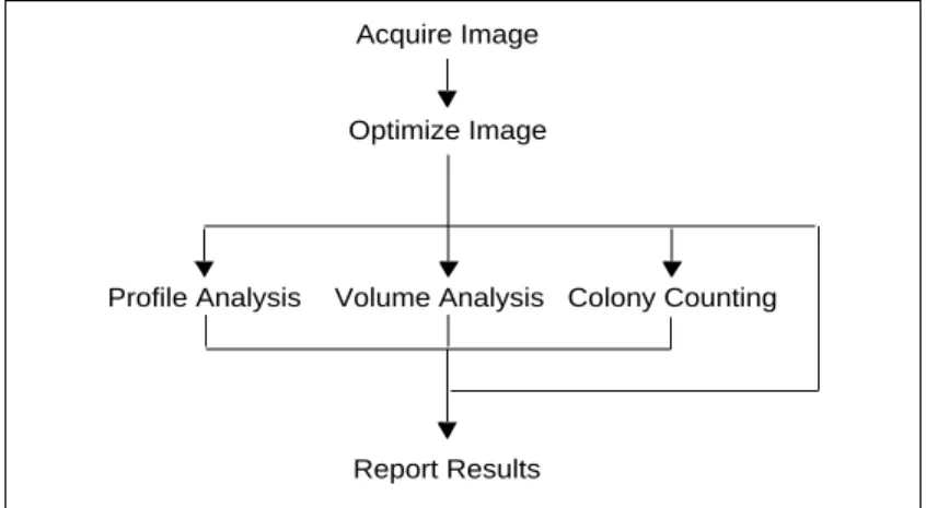 Fig. 1-2.  Steps Involved in Using Quantity One.
