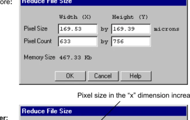 Fig. 2-12.  Reduce File Size dialog box, before and after pixel size increase.