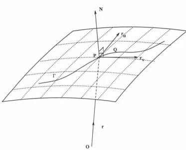 Figure 1.1: The surface S and the curve r 