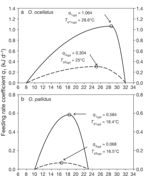 Fig. 3. (a) Octopus ocellatuscoefficient  and (b) O. pallidus. Feeding rateq1 (solid line) and the growth rate coefficient q3(dashed line) as a function of temperature T