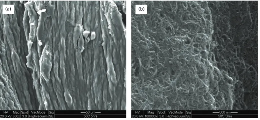 Figure 10. (a) Low-magnification and (b) high-magnification SEM micrographs of MWCNTs treated at condition 60ºC x 3 h.