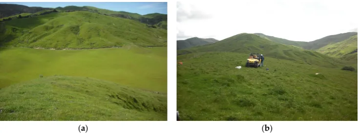 Figure 2. (a) Site 1; (b) Site 2. 